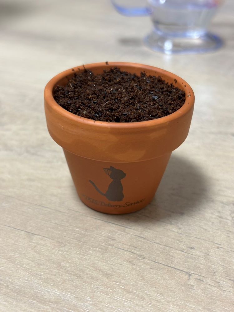 春なので…🌱